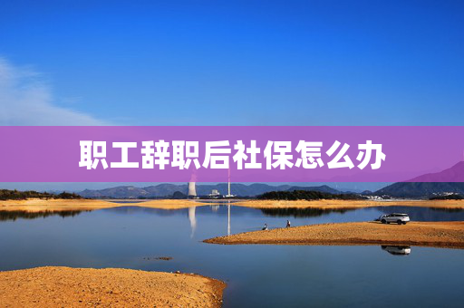 职工辞职后社保怎么办