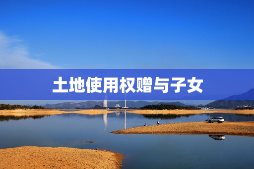 土地使用权赠与子女
