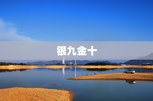 银九金十