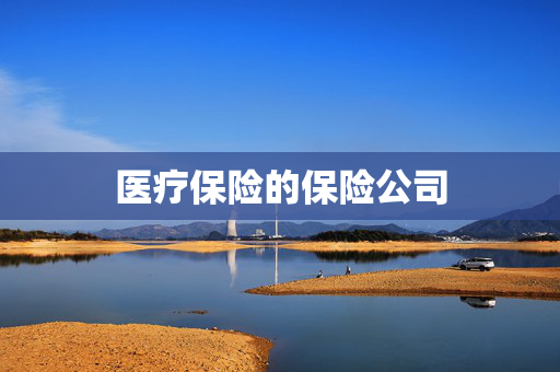 医疗保险的保险公司