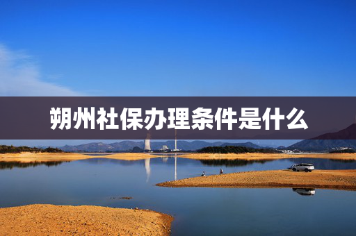 朔州社保办理条件是什么