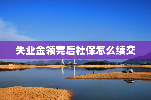 失业金领完后社保怎么续交