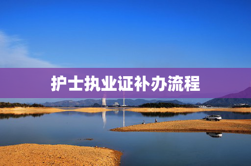 护士执业证补办流程