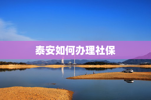 泰安如何办理社保
