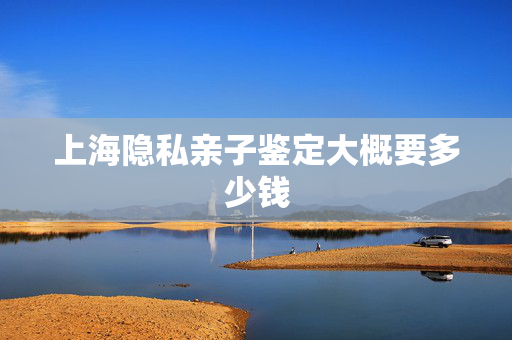 上海隐私亲子鉴定大概要多少钱