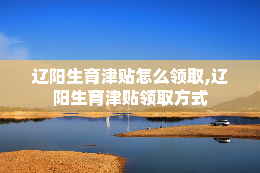 辽阳生育津贴怎么领取,辽阳生育津贴领取方式