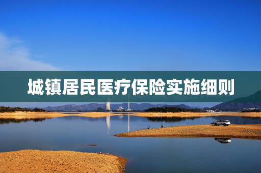 城镇居民医疗保险实施细则