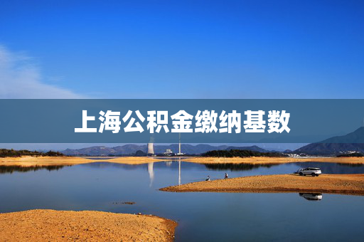 上海公积金缴纳基数