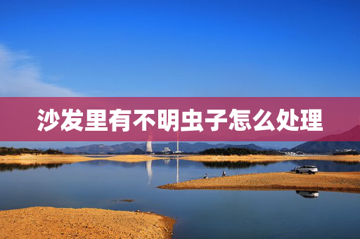 沙发里有不明虫子怎么处理