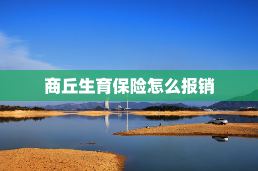 商丘生育保险怎么报销