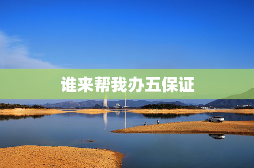 谁来帮我办五保证