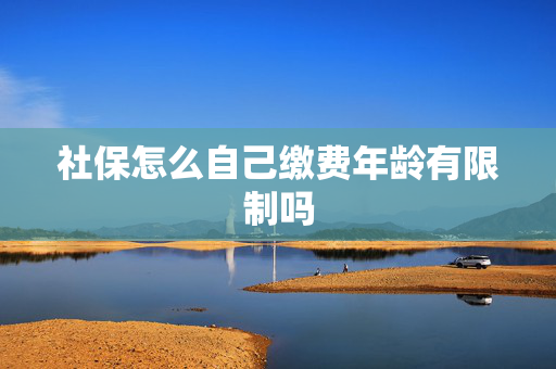 社保怎么自己缴费年龄有限制吗