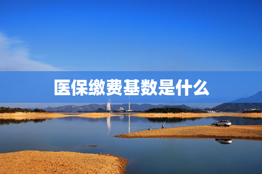 医保缴费基数是什么