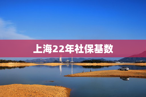 上海22年社保基数