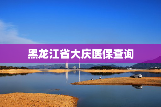 黑龙江省大庆医保查询