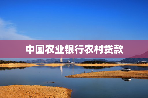 中国农业银行农村贷款