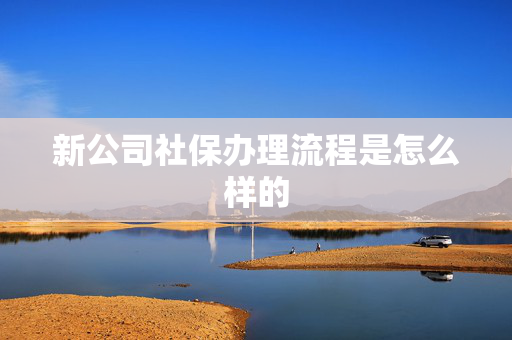 新公司社保办理流程是怎么样的