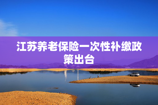 江苏养老保险一次性补缴政策出台