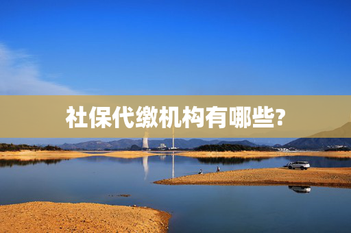 社保代缴机构有哪些?