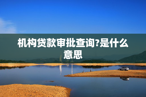 机构贷款审批查询?是什么意思