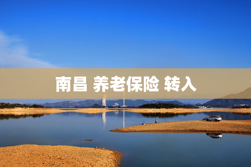 南昌 养老保险 转入