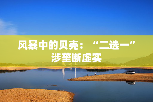 风暴中的贝壳：“二选一”涉垄断虚实