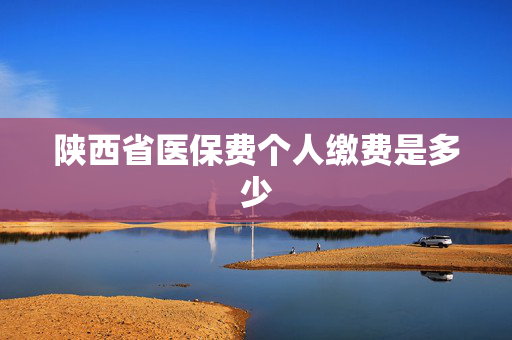 陕西省医保费个人缴费是多少