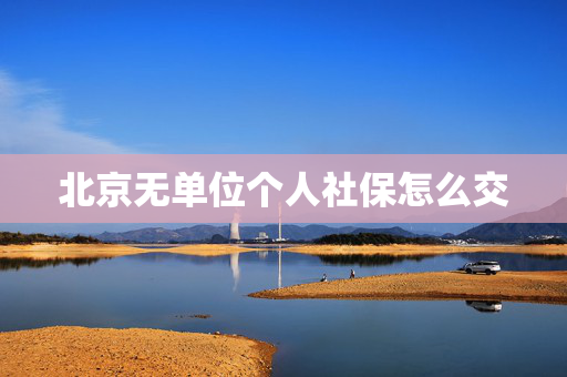 北京无单位个人社保怎么交