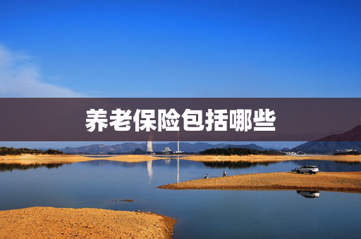养老保险包括哪些
