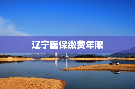 辽宁医保缴费年限