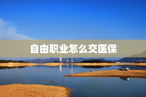 自由职业怎么交医保