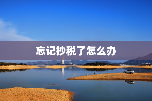 忘记抄税了怎么办