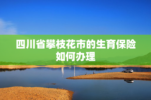 四川省攀枝花市的生育保险如何办理