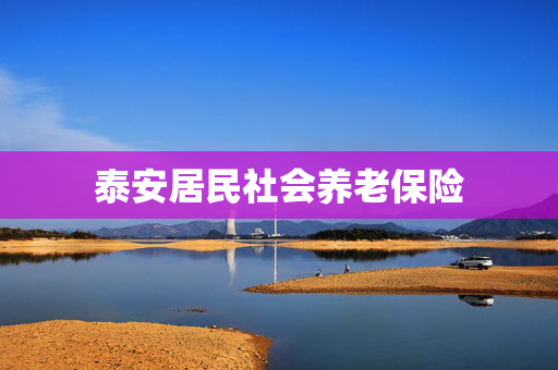 泰安居民社会养老保险