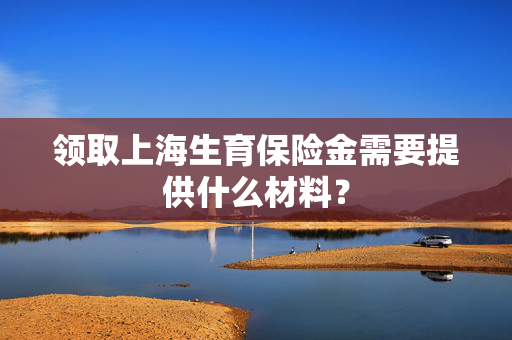 领取上海生育保险金需要提供什么材料？