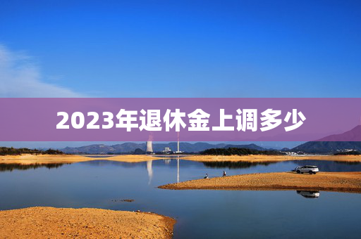 2023年退休金上调多少