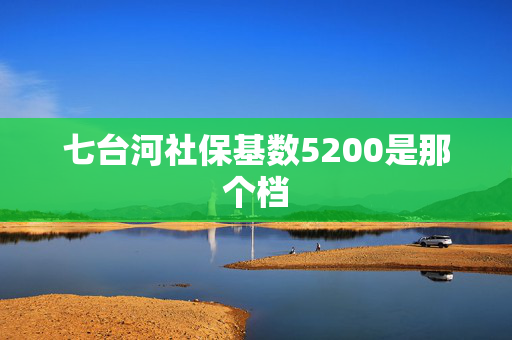 七台河社保基数5200是那个档