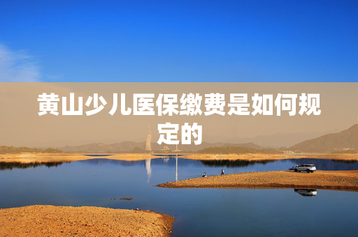 黄山少儿医保缴费是如何规定的