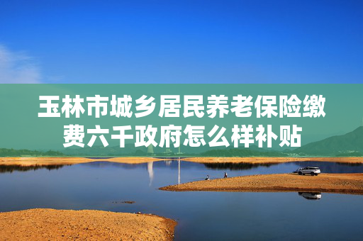 玉林市城乡居民养老保险缴费六千政府怎么样补贴