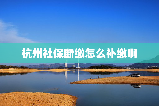 杭州社保断缴怎么补缴啊