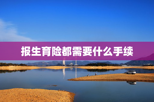 报生育险都需要什么手续