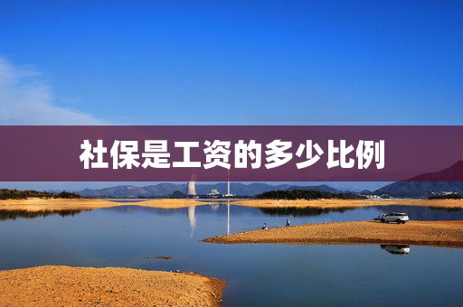 社保是工资的多少比例