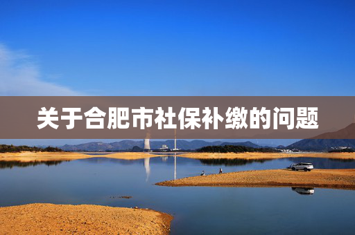 关于合肥市社保补缴的问题