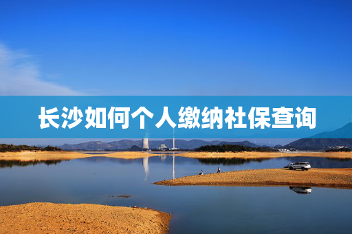 长沙如何个人缴纳社保查询