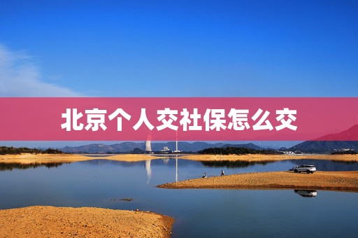 北京个人交社保怎么交