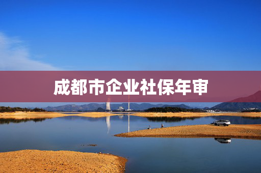 成都市企业社保年审