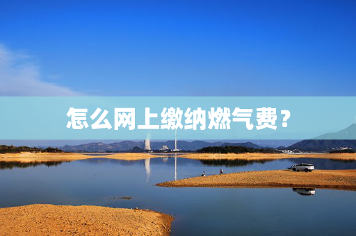 怎么网上缴纳燃气费？