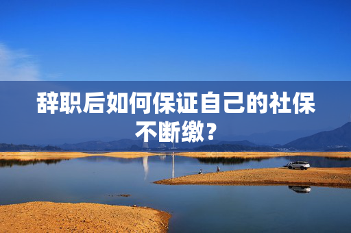 辞职后如何保证自己的社保不断缴？