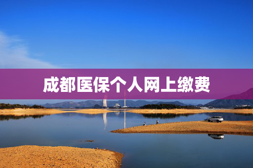 成都医保个人网上缴费