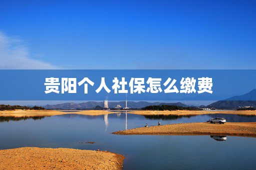 贵阳个人社保怎么缴费